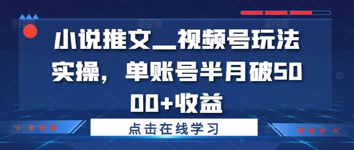 小说推文—视频号玩法实操，单账号半月破5000+收益-U·Muse