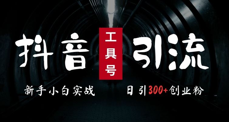 2024最新抖音工具号引流玩法，高效日引300+创业粉，当天变现5k，小白也可成为实战高手-U·Muse